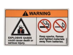 1706296 Decal_Battery Warning_Lull | JLG