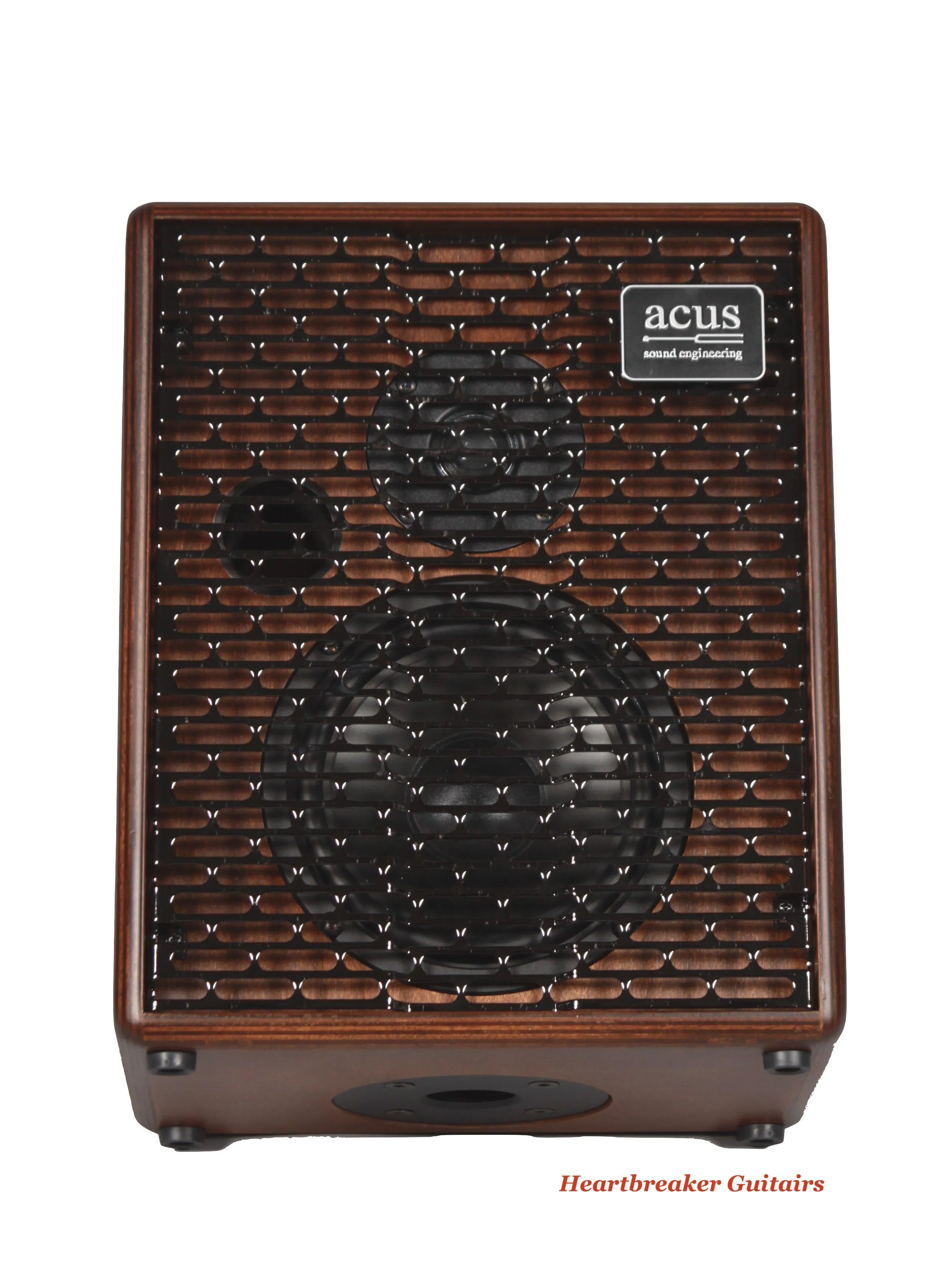 Acus Sound Engineering Acoustic Amp 6T