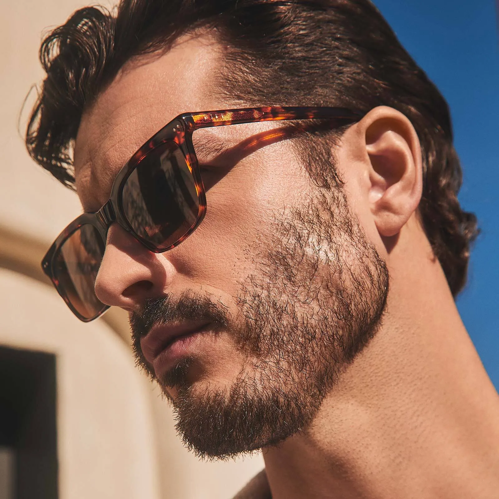 BILLIE XL - RICH TORTOISE   BROWN   POLARIZED SUNGLASSES