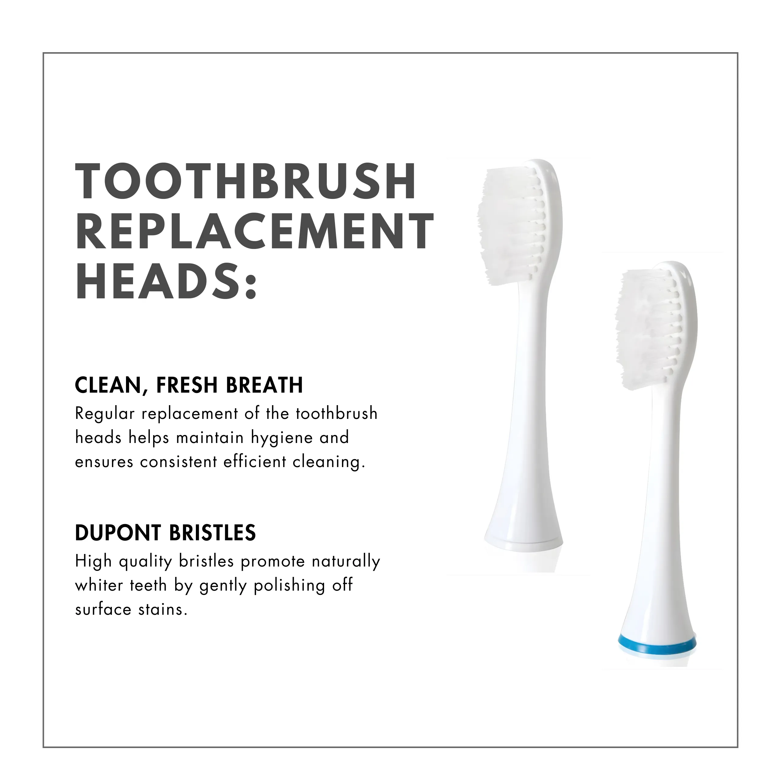 Replacement Heads – Poseidon Sonic Toothbrush