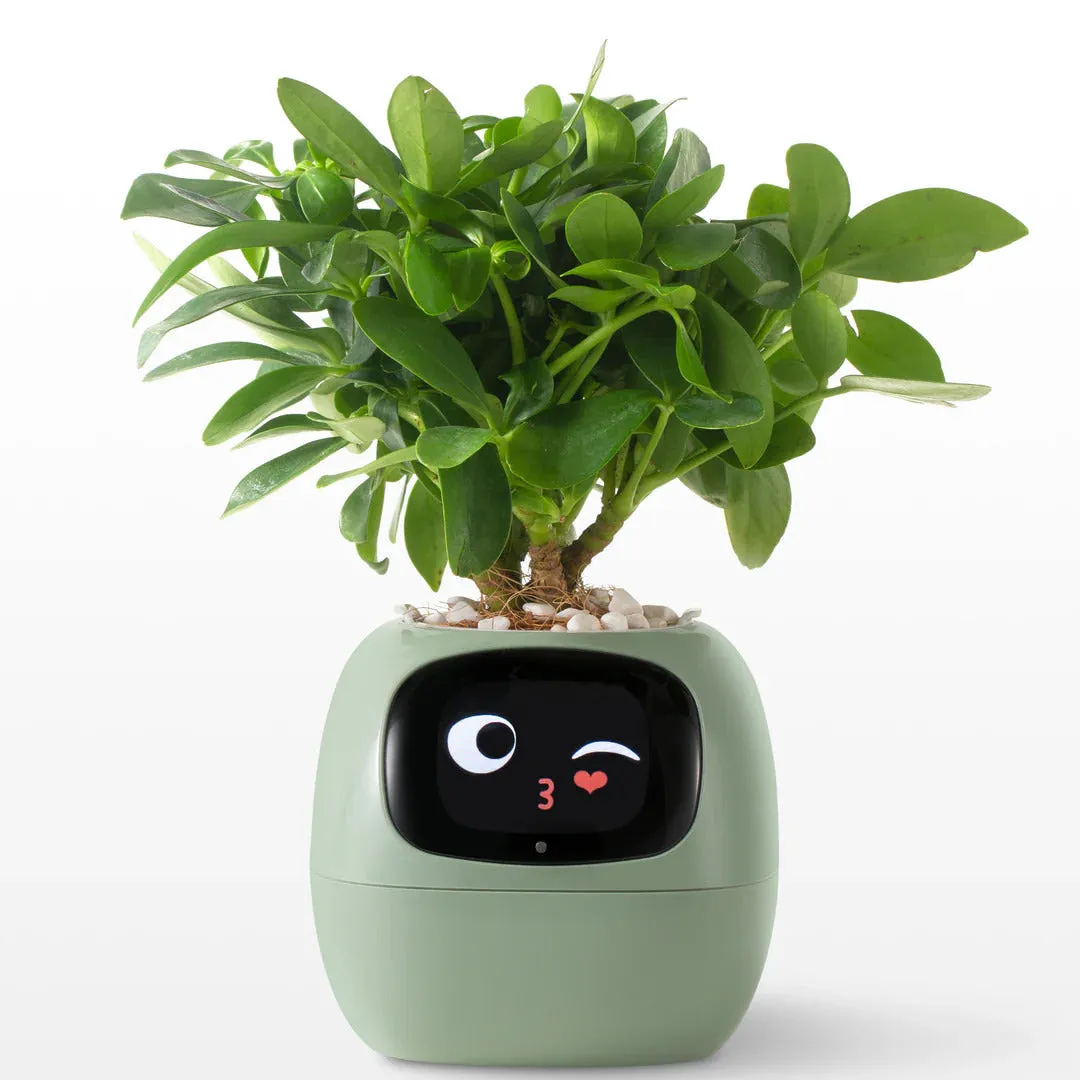 Smart Planter Ivy: AI-Powered Plant Care, Flowerpot Easy and Fun